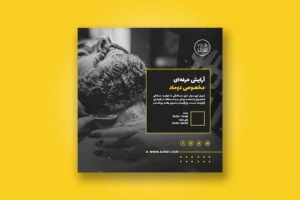 محصول در تخفیف ویژه